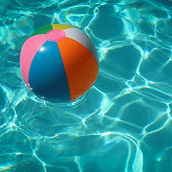 The Sprague Gibbons Team