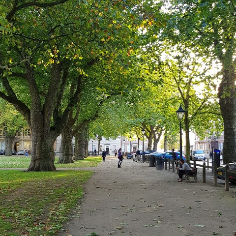Queen Square Bristol